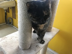 6F296620-D83C-4325-8A79-4EE0E172B92A