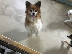 44BC63DA-81BC-439A-ABE0-3AD87D9F220A