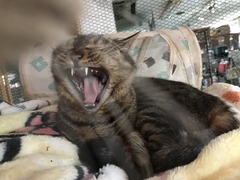 64FBB7E4-04C8-4F79-BF82-FBDA66F18928