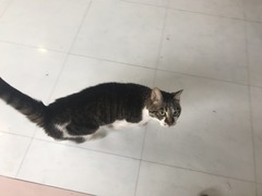 AFA46E8A-2046-434A-B749-308E14BF0F18