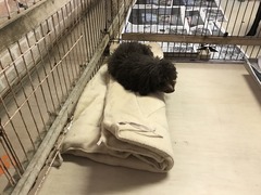 6B74223E-082C-4201-B8A4-94916D60F0B3