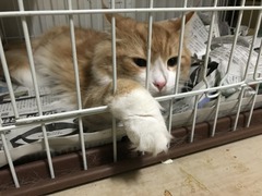 AE5D4CAB-6850-4D52-A2E6-B1BD62E5B966