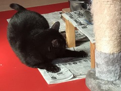 F3E3DD63-FFB6-4A34-BD50-4BDCE6D36CB1