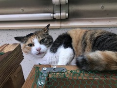 6676FD0A-A188-4F7A-940B-C54D70565F8C