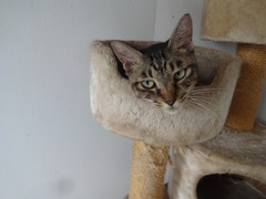 DSC07940
