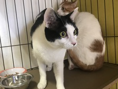 BFF0A3B5-C925-45A0-97A3-D82F8ACA4F1A