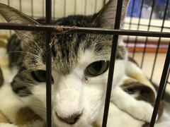 55778763-D506-4866-8AF6-CE4B07524ACB