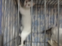 DSC08966