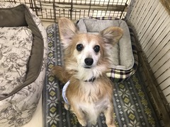 AC23E57A-491A-4DD4-BECA-E6549D4F03AD