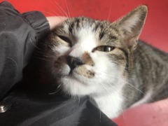 FD2CF2E0-4CCE-4608-A439-6960EB3B9BFA