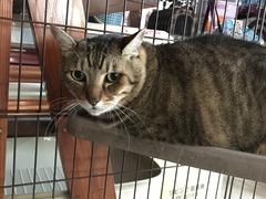 3C7DEE78-8292-4D21-B489-570D49A87861