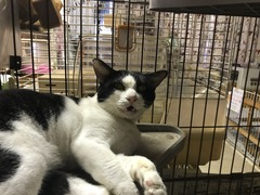 4F7B7C2D-7F0B-4723-B342-5A3D95D8BB85