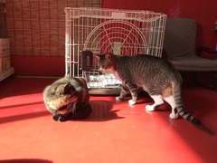 BFF8F725-07CC-4CEC-BB1D-9170A2D7BFBE