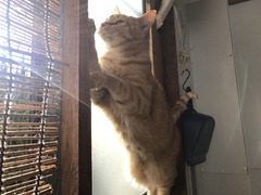 793199C0-F512-46DE-AF60-8A0C47BA6164