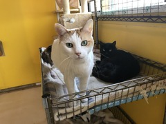 8D89B077-EF9C-4F2A-81EB-F12FA7189ACE