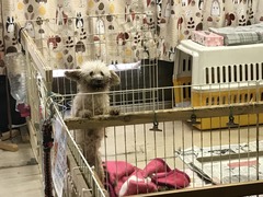 6447D26D-B6CD-4EE5-8312-073538E5A4D6