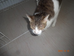DSC06501