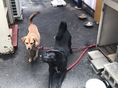 A44DA9B6-1F79-4701-BFB3-CAB1FDB149A4