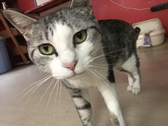 D3575C44-27B9-4F6C-A796-BCB3F0E21761