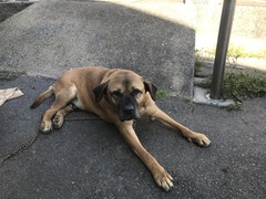 B0A5A562-C552-453E-946D-88F21B6E4527