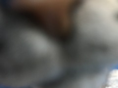 89271341-E433-4999-89BB-FF4055CF74B4