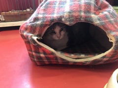 26B899BA-762F-46F7-9E0E-751C8C33D382