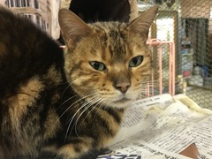 969A02E5-9EAD-4706-B1D5-74B71A89BCA4