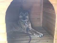 795589EA-1457-4E33-B575-C7551F3A7677