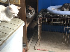 5AE79D73-CA0D-4437-94FF-0E1D2088AA67