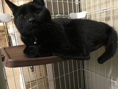 27CA0E5E-494E-40FA-810C-982FED4E3EB1