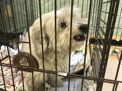 33AEA282-E810-476A-8C82-25736A15196F