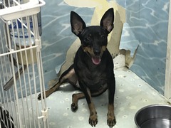 467219A5-7379-47F8-BFA7-A5160F73DB39