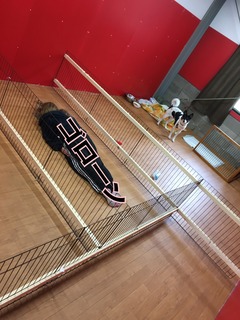 B5E74944-4160-4846-B7B2-893D7DCC36E2