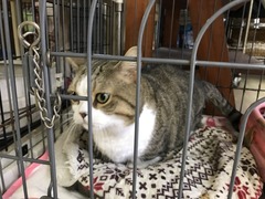 0B7B2832-1B9D-4CCF-920E-AC1E96E33540