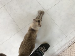 DBEE3FBB-A59D-4C3C-98DD-0B1C2BC35772