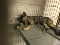 799FD953-D348-4705-81D1-89AD1FDE0A0A