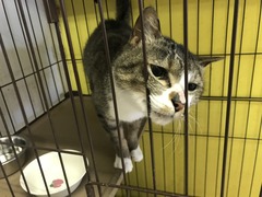 FE71EAF4-9E53-4417-BDCE-05648D5411D5