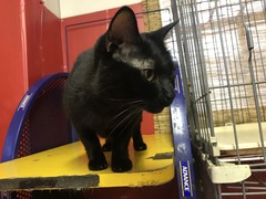 6BBA0F27-6D9F-4F6E-A44C-CB0E94FFAA26