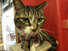 36391D55-9804-46DD-A073-379BCF44A3E3