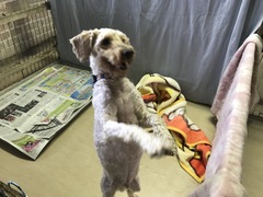 6D57B77C-992F-465C-A75B-4410C87FAD44