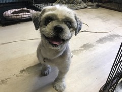 EC475D27-C29F-4780-94D1-400AED152F2B