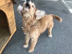 D3C2BDA7-09B0-4FE8-831A-C4F34E99C39D