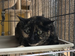 8BAAC8F9-FD8A-4014-A5B8-B18F80AA356D