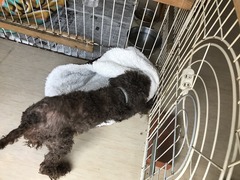 346D501F-EBEC-4C3E-AAB1-F115E137374D