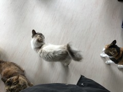 8555B0A4-8A11-4C6C-B6D9-510D78914F13