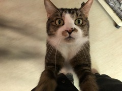 5EA3E40E-F164-4774-8439-4D1209B395F1