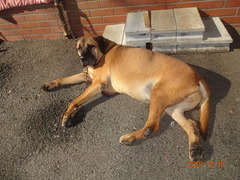 DSC06947