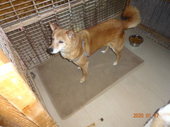 DSC07085