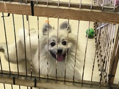 62933CBD-6158-45AB-BC12-9A96CA5AE933