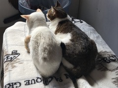 6C881D08-45C1-4D06-A3CE-3C1D9646E0EE